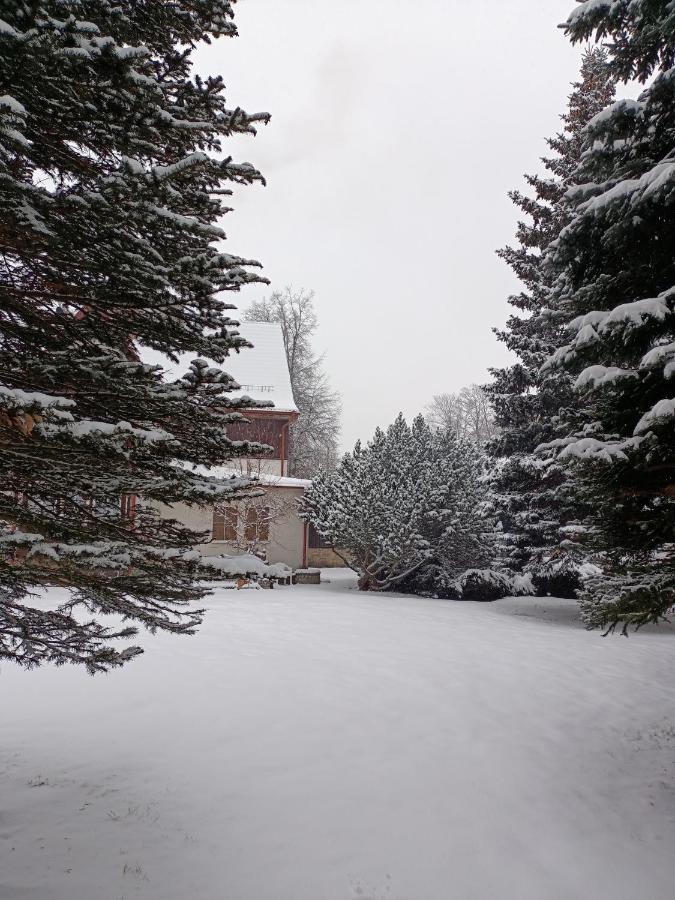 Osrodek Wypoczynkowy Nad Wodospadem Przesieka Exterior photo